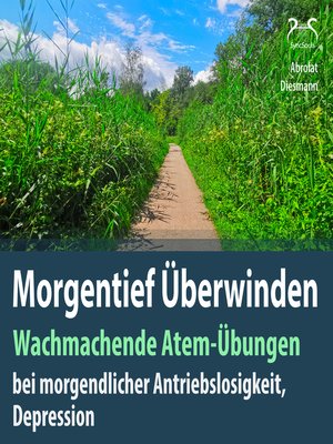 cover image of Morgentief Überwinden